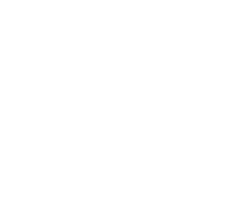 Logo Nicole Robert - Thérapeute en relation d'aide psychologique